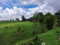Fazenda / Sítio / Chácara com 3 Quartos à venda, 145200m² no Zona Rural, Cássia dos Coqueiros - Foto 10