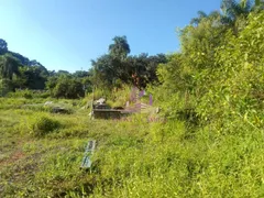 Terreno / Lote / Condomínio à venda, 1900m² no Águas da Fazendinha, Carapicuíba - Foto 5