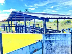 Fazenda / Sítio / Chácara com 3 Quartos à venda, 487000m² no Centro, Indiaroba - Foto 24