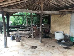 Fazenda / Sítio / Chácara com 3 Quartos à venda, 120m² no Zona Rural, Pirenópolis - Foto 13