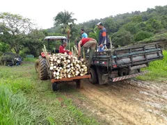 Fazenda / Sítio / Chácara com 4 Quartos à venda, 872400m² no Zona Rural, Juquiá - Foto 9