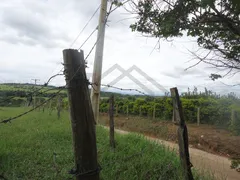 Fazenda / Sítio / Chácara com 2 Quartos à venda, 120m² no Chácaras Alpina, Valinhos - Foto 4