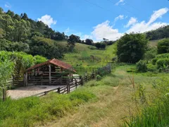 Fazenda / Sítio / Chácara com 3 Quartos à venda, 508200m² no Centro, Piracaia - Foto 18