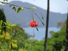 Casa com 5 Quartos para alugar, 450m² no Praia Vermelha do Sul, Ubatuba - Foto 38