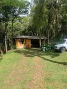 Fazenda / Sítio / Chácara com 3 Quartos à venda, 6480m² no Loteamento Chacara Chantecler, Piraquara - Foto 3