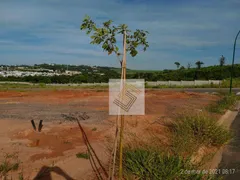 Terreno / Lote / Condomínio à venda, 680m² no Loteamento Residencial Arborais, Campinas - Foto 4