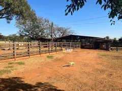 Fazenda / Sítio / Chácara à venda, 100m² no Centro, Araguari - Foto 18