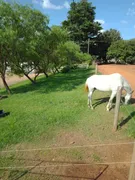 Fazenda / Sítio / Chácara à venda, 3650000m² no Vila Pinto, Varginha - Foto 44