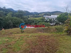 Terreno / Lote / Condomínio à venda, 1000m² no Jambeiro, Jambeiro - Foto 2