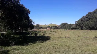 Terreno / Lote / Condomínio à venda, 8000m² no Centro, Itatiaia - Foto 7