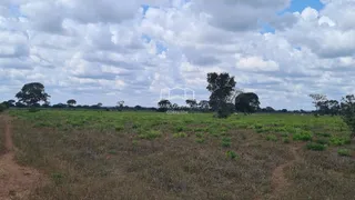 Fazenda / Sítio / Chácara com 2 Quartos à venda, 54250000m² no Zona Rural, Buritizeiro - Foto 7