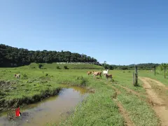 Fazenda / Sítio / Chácara com 3 Quartos à venda, 2081200m² no Zona Rural, Rio Bonito - Foto 31