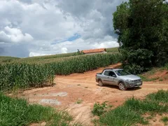 Fazenda / Sítio / Chácara com 2 Quartos à venda, 75m² no Zona Rural, Lambari - Foto 38