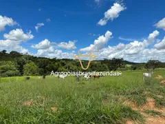 Fazenda / Sítio / Chácara com 3 Quartos à venda, 150m² no Area Rural de Goiania, Goiânia - Foto 14