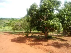 Fazenda / Sítio / Chácara à venda, 10000m² no Zona Rural, Glória do Goitá - Foto 15