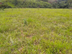 Terreno / Lote / Condomínio à venda, 300000m² no Zona Rural, Oliveira - Foto 4