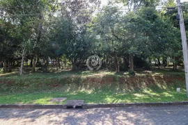 Terreno / Lote / Condomínio à venda, 540m² no Santo André, São Leopoldo - Foto 3