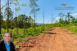 Fazenda / Sítio / Chácara à venda, 168700m² no Zona Rural, Três Coroas - Foto 24