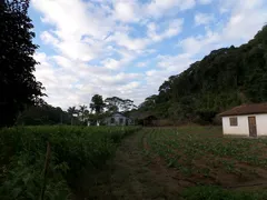 Fazenda / Sítio / Chácara com 2 Quartos à venda, 1000000m² no Pessegueiros, Teresópolis - Foto 35