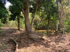 Fazenda / Sítio / Chácara com 1 Quarto à venda, 39m² no Coxipó do Ouro, Cuiabá - Foto 8