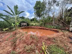 Fazenda / Sítio / Chácara com 2 Quartos à venda, 100m² no , Mandaguaçu - Foto 15