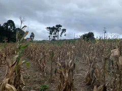 Fazenda / Sítio / Chácara à venda, 24000m² no Zona Rural, Mandirituba - Foto 25
