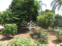 Fazenda / Sítio / Chácara com 3 Quartos à venda, 200m² no Chácara Cruzeiro do Sul, Sumaré - Foto 15