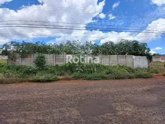 para alugar, 1000m² no Cidade Jardim, Uberlândia - Foto 1