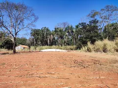 Fazenda / Sítio / Chácara à venda, 135176m² no Chacaras Bom Retiro, Goiânia - Foto 4