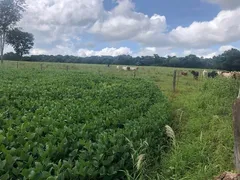 Fazenda / Sítio / Chácara à venda, 11m² no Zona Rural, Cristianópolis - Foto 4