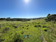 Fazenda / Sítio / Chácara à venda, 80m² no Vila Seca, Caxias do Sul - Foto 14