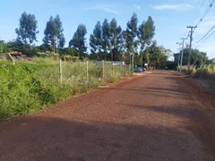 Fazenda / Sítio / Chácara à venda, 1225m² no Jardim Ouro Cola, Maringá - Foto 6