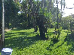 Fazenda / Sítio / Chácara com 4 Quartos à venda, 160m² no Estancia Do Sereno Ptb, Betim - Foto 6