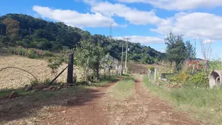 Fazenda / Sítio / Chácara com 2 Quartos à venda, 20000m² no Centro, Monte Belo do Sul - Foto 1