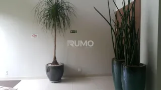 Apartamento com 3 Quartos para alugar, 107m² no Jardim Guanabara, Campinas - Foto 22