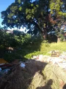 Terreno / Lote / Condomínio à venda, 630m² no Santa Cruz, Rio de Janeiro - Foto 10