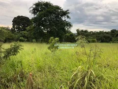 Fazenda / Sítio / Chácara com 3 Quartos à venda, 30312m² no Zona Rural, Gameleira de Goiás - Foto 23