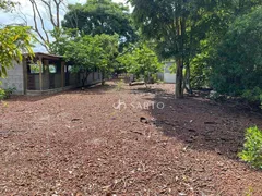 Fazenda / Sítio / Chácara com 3 Quartos à venda, 150m² no Zona Rural, Anápolis - Foto 27