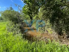 Fazenda / Sítio / Chácara com 3 Quartos à venda, 80m² no Zona Rural, São Sebastião do Oeste - Foto 42