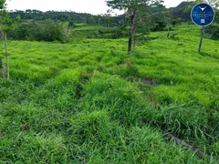 Fazenda / Sítio / Chácara à venda no Zona Rural, Rondonópolis - Foto 3