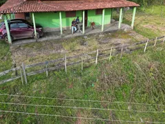 Fazenda / Sítio / Chácara com 3 Quartos à venda, 300m² no Centro, Crucilândia - Foto 14