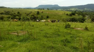 Fazenda / Sítio / Chácara à venda, 72600m² no Rural, Torre de Pedra - Foto 19