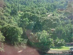 Terreno / Lote / Condomínio à venda, 8000m² no Portogalo, Angra dos Reis - Foto 2