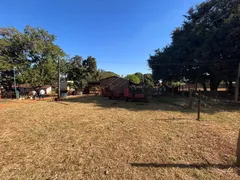 Fazenda / Sítio / Chácara com 2 Quartos à venda, 11600m² no Parque Cristo Redentor, Trindade - Foto 5