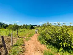 Terreno / Lote / Condomínio à venda, 28000m² no Campestre, Piracicaba - Foto 27