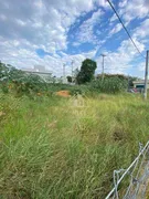 Terreno / Lote / Condomínio à venda, 250m² no Ribeirão dos Porcos, Atibaia - Foto 2