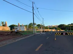 Terreno / Lote / Condomínio à venda, 250m² no Ideal, Londrina - Foto 16