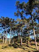 Fazenda / Sítio / Chácara à venda, 20000m² no Zona Rural, Urubici - Foto 11