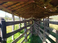 Fazenda / Sítio / Chácara à venda, 6050000m² no , Bom Jardim de Goiás - Foto 16