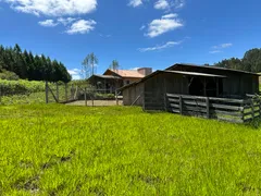 Fazenda / Sítio / Chácara com 2 Quartos à venda, 30000m² no Zona Rural, Campo Alegre - Foto 19